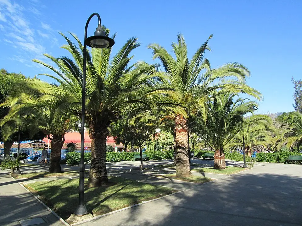 Imagen de Mijas (Mijas Pueblo, Las Lagunas y La Cala)